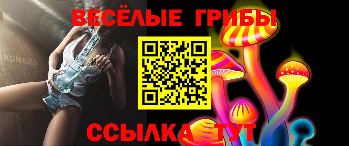 Галлюциногенные грибы мухоморы  Псилоцибиновые грибы Magic Shrooms  наркошоп  Обнинск  Вход с VPN 