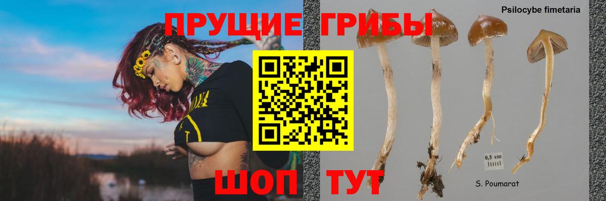 Галлюциногенные грибы GOLDEN TEACHER Обнинск
